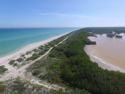 Importancia de la Ictiofauna en los Sistemas Lagunares