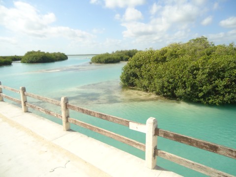 Importancia de la reserva de la Biosfera de Sian Ka´an